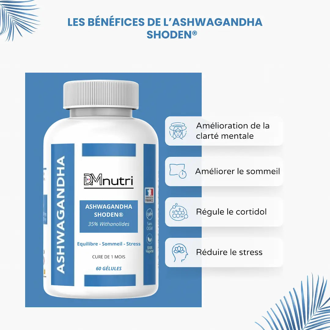 Ashwagandha Shoden® – Sérénité et vitalité