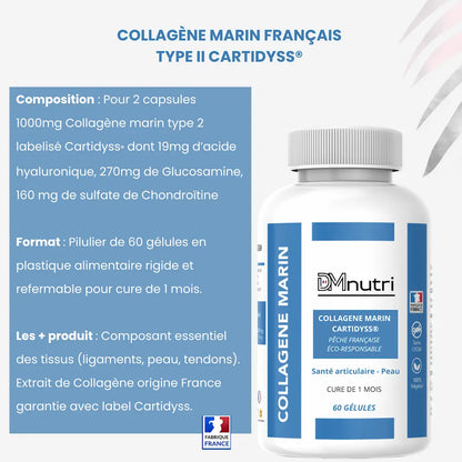 Collagène Marin Cartidyss® – Éclat et fermeté de la peau